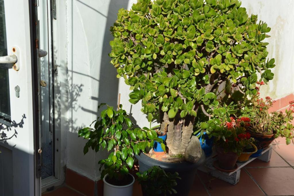 B&B Spiraglio Syracuse Exterior photo